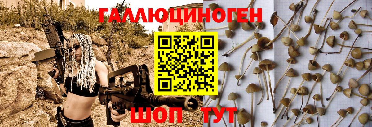Реутов  Галлюциногенные грибы GOLDEN TEACHER  Вход с VPN  Псилоцибиновые грибы Cubensis 