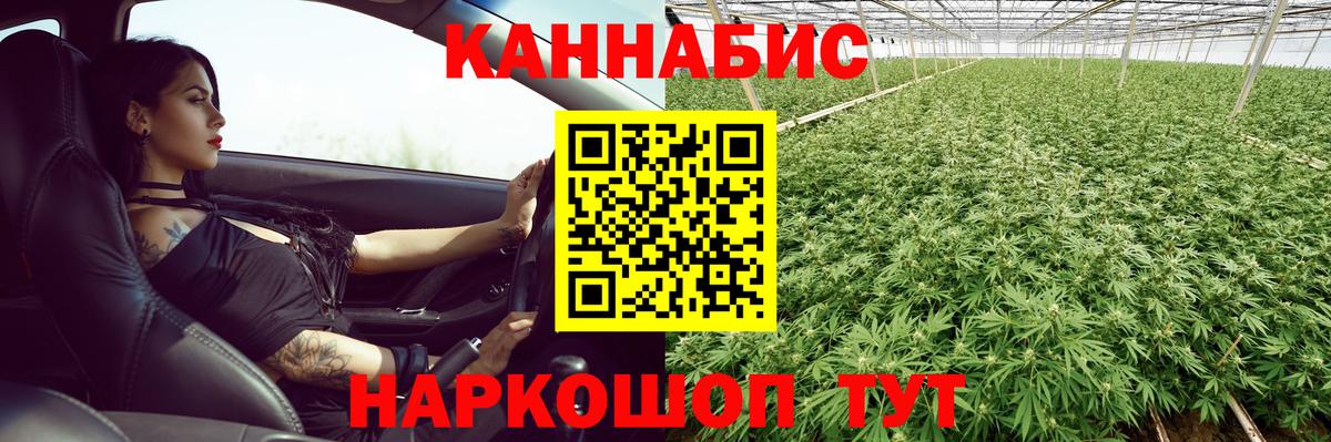 Конопля индика Реутов